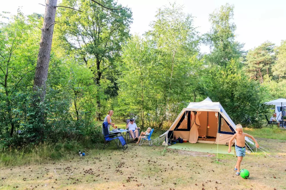 RCN Vakantiepark de Noordster 4 étoiles★★★★