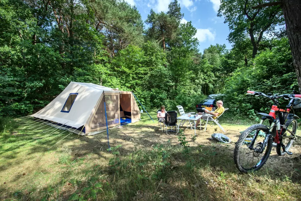 RCN Vakantiepark de Noordster 4 étoiles★★★★