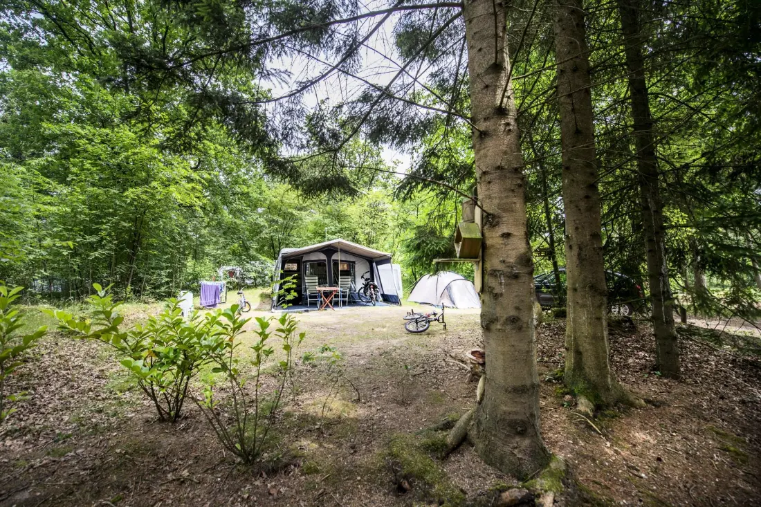 RCN Vakantiepark de Noordster 4 étoiles★★★★