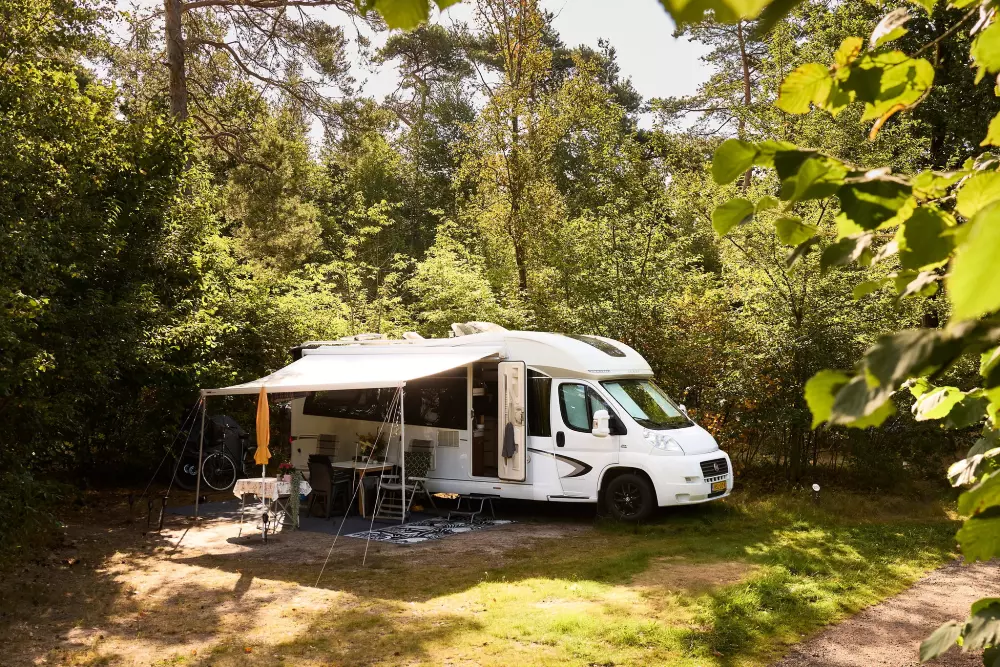 RCN Vakantiepark de Noordster 4 étoiles★★★★