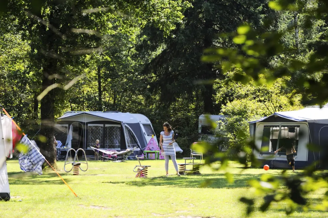 RCN Vakantiepark de Noordster 4 étoiles★★★★