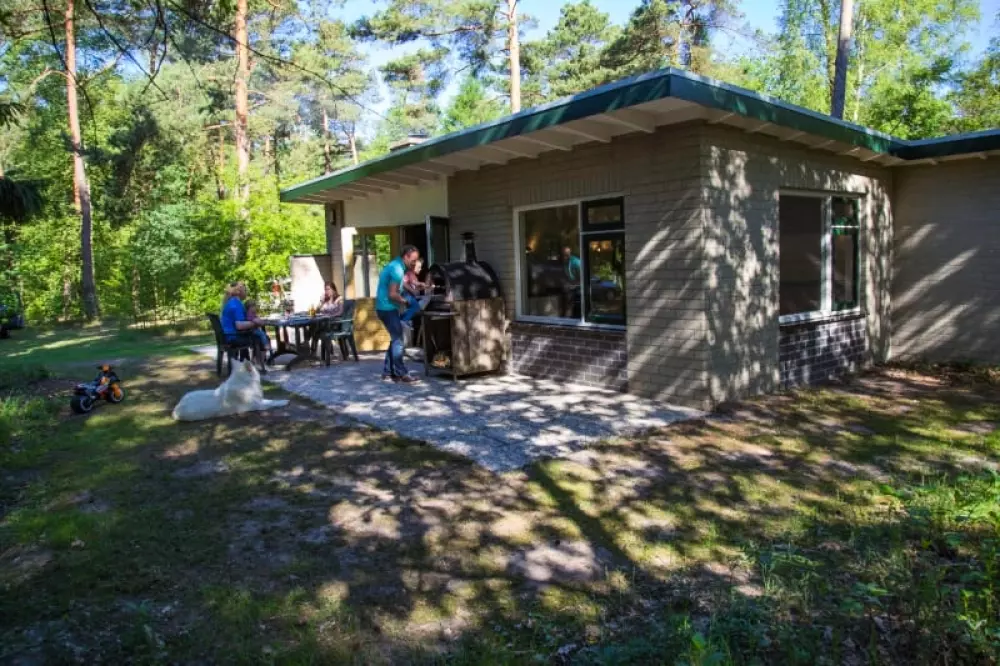 RCN Vakantiepark de Noordster 4 étoiles★★★★
