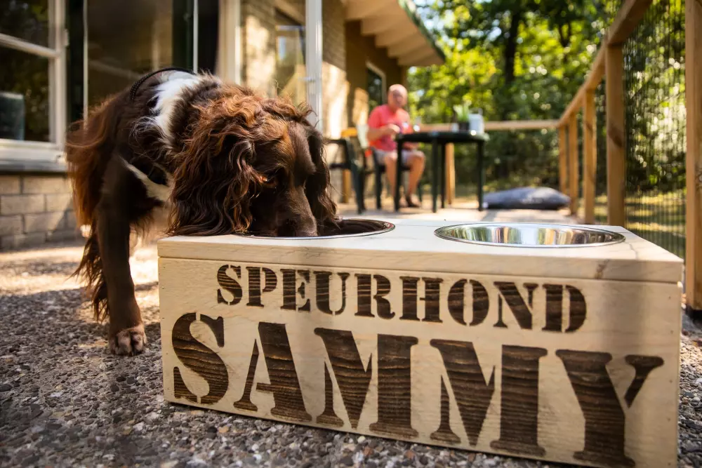 RCN Vakantiepark de Noordster 4 étoiles★★★★