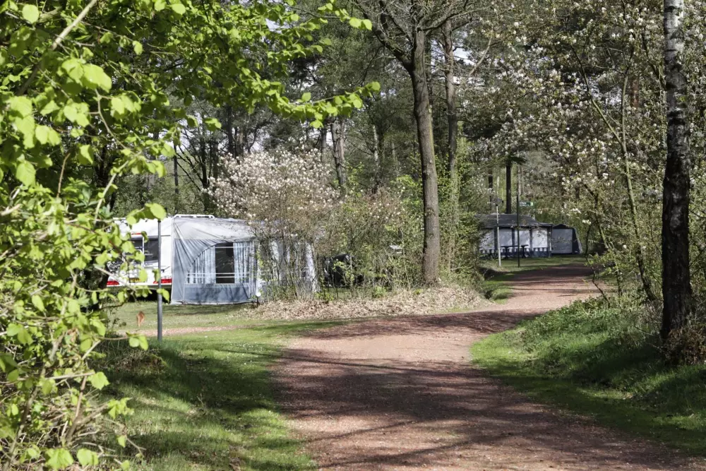 RCN Vakantiepark de Noordster 4 étoiles★★★★