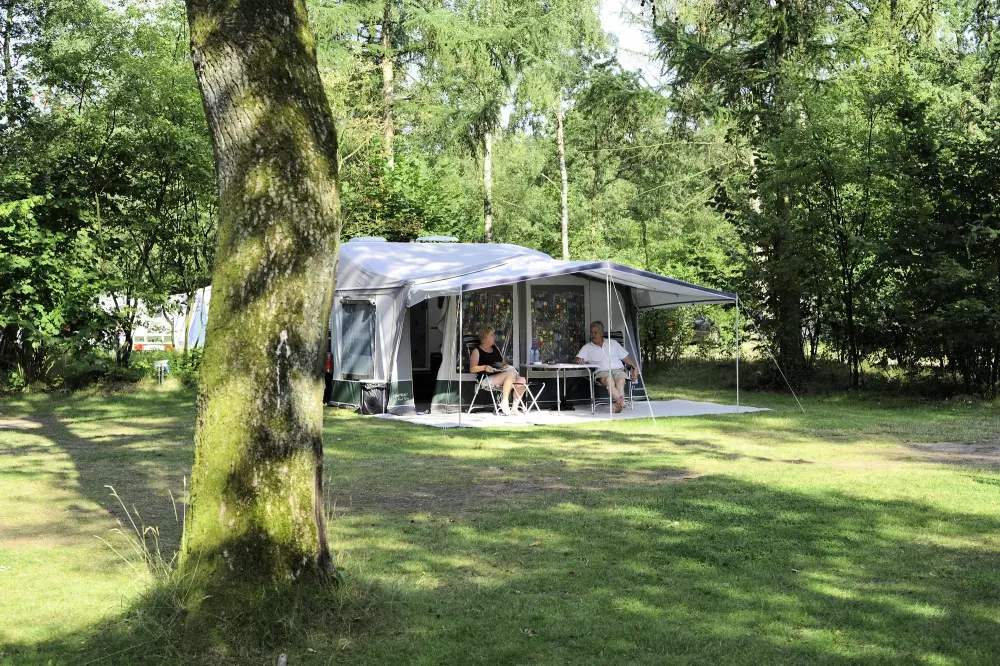 RCN Vakantiepark de Noordster 4 étoiles★★★★