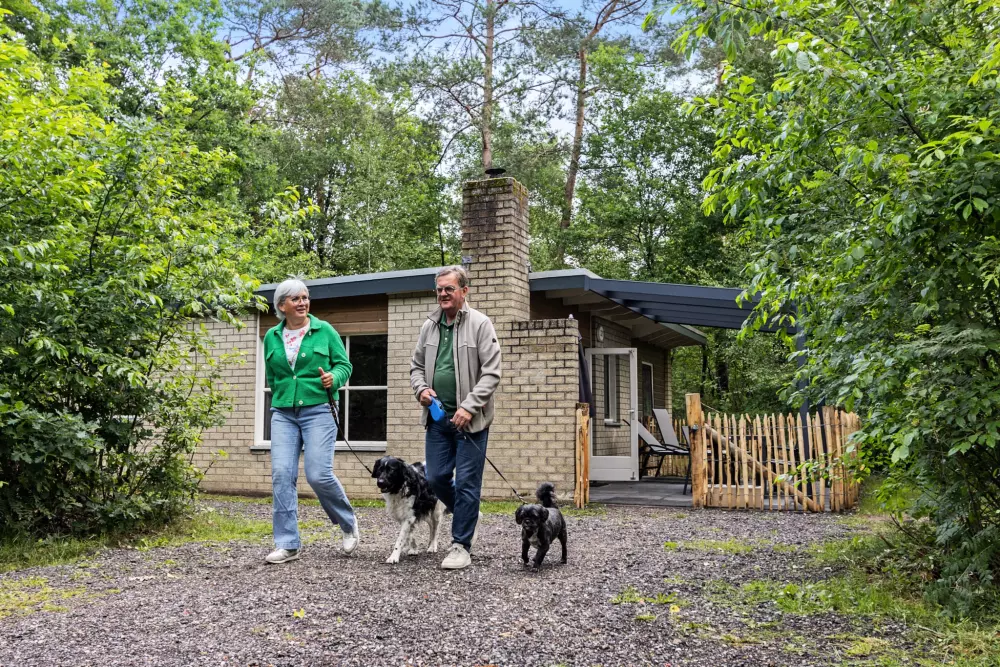 RCN Vakantiepark de Noordster 4 étoiles★★★★