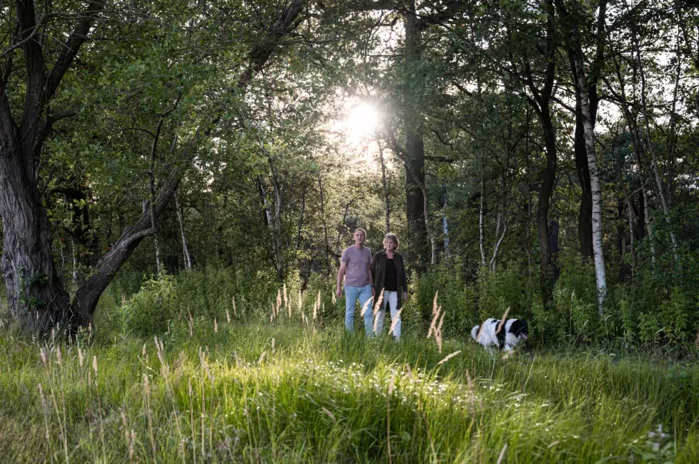 RCN Vakantiepark de Noordster 4 étoiles★★★★