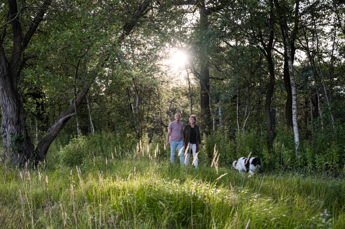 RCN Vakantiepark de Noordster 4 étoiles★★★★