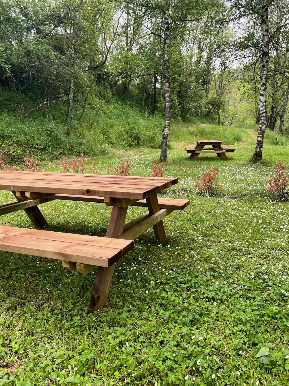 Ushuaïa Villages - Camping l'Oasis 5 étoiles★★★★★