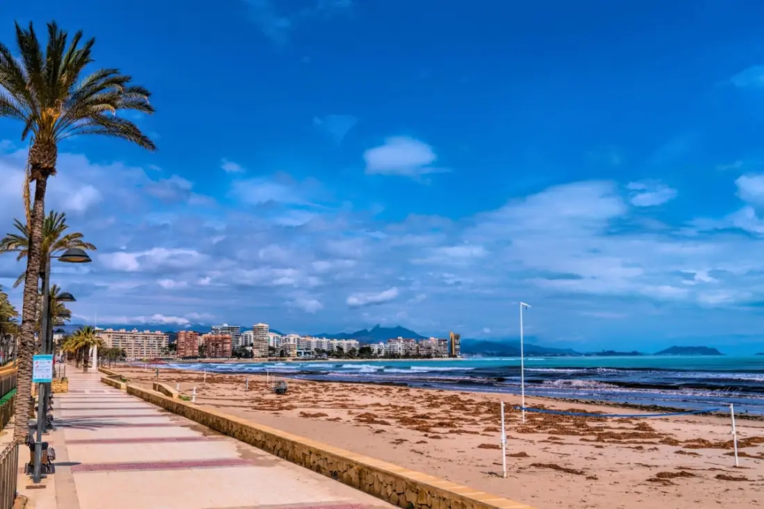 Appartement Lumineux à 50m De La Plage Avec Piscine Et Parking