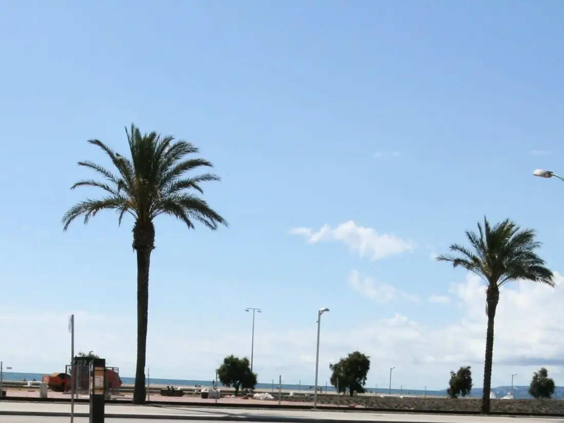 Location de Vacances Empuriabrava 23