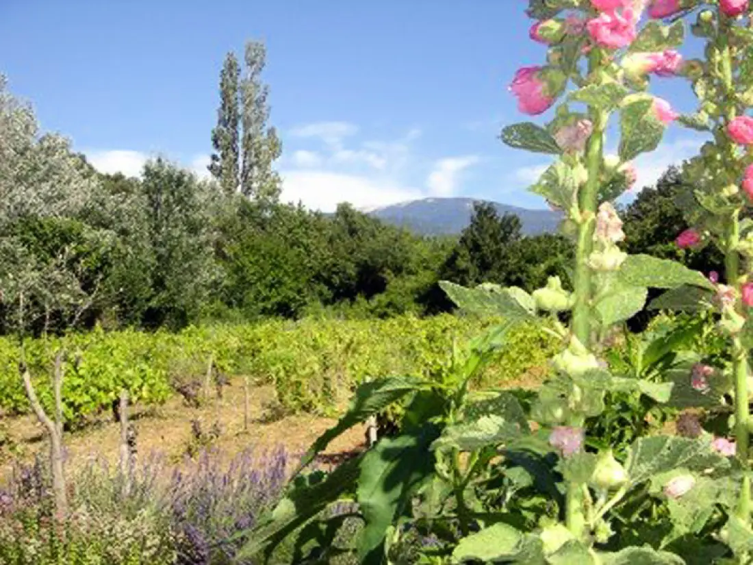 Villa du Puy