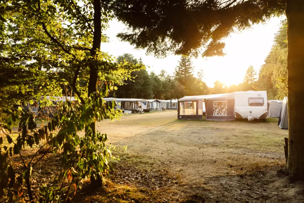 RCN Vakantiepark de Jagerstee 4 étoiles★★★★