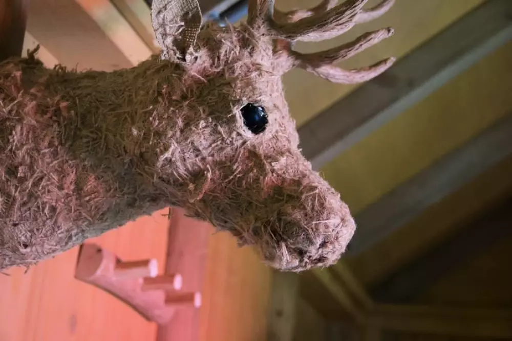 RCN Vakantiepark de Jagerstee 4 étoiles★★★★