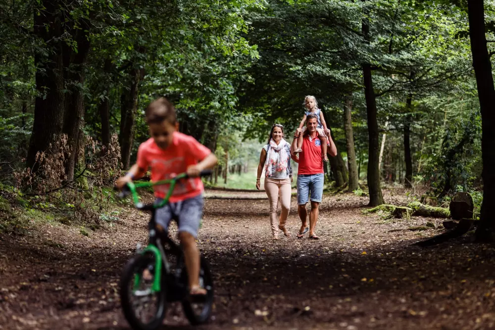 RCN Vakantiepark de Jagerstee 4 étoiles★★★★