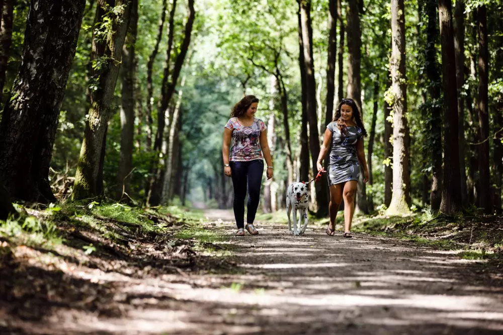 RCN Vakantiepark de Jagerstee 4 étoiles★★★★