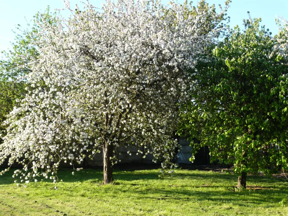 Maison de Vacances Épieds-en-Beauce 8