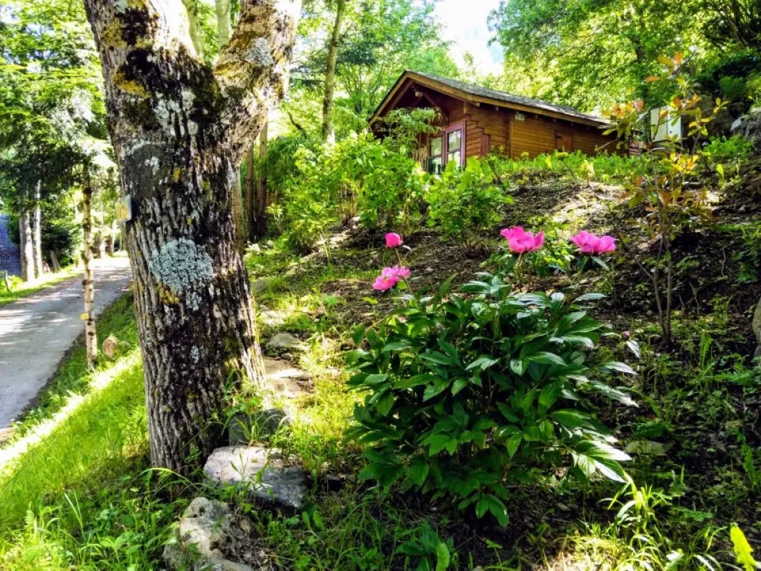 Camping Bedura Park  3 étoiles★★★
