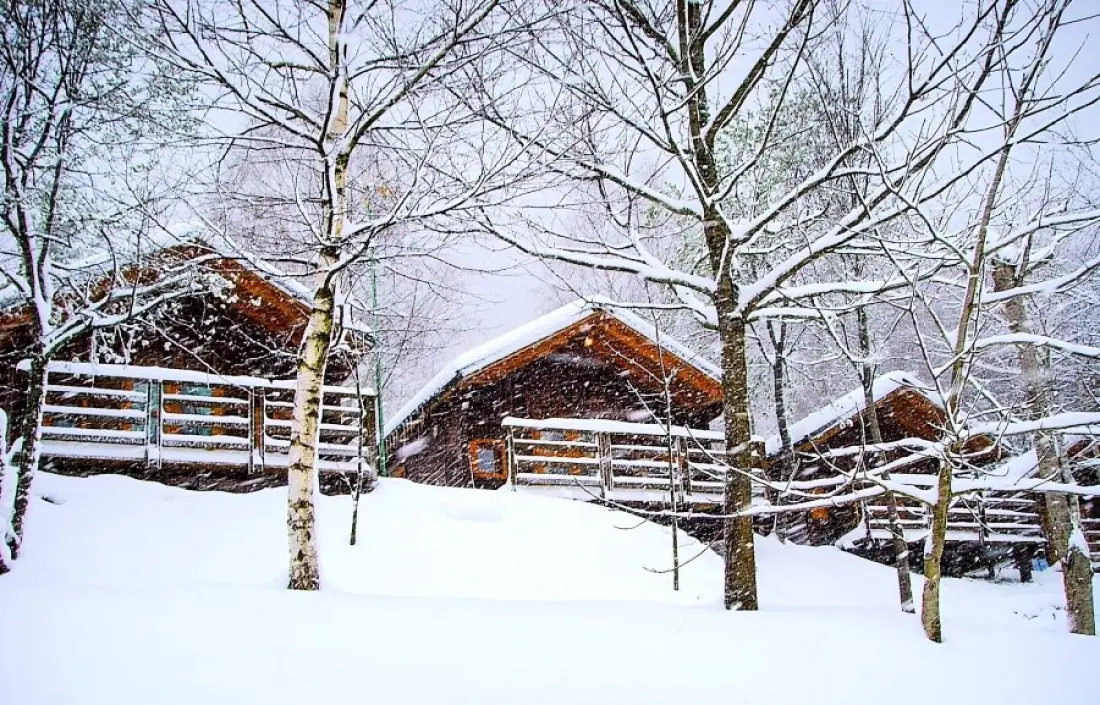 Camping Bedura Park  3 étoiles★★★
