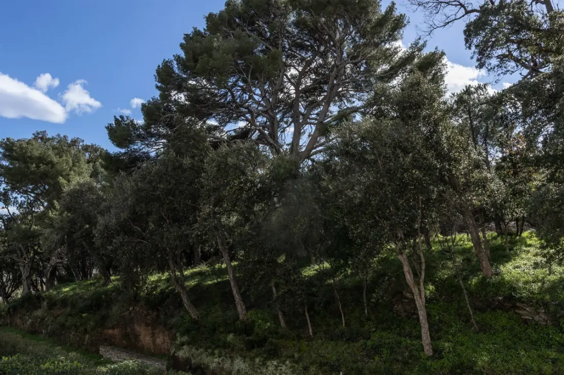Casa Mare E Monti – Entre Mer Et Montagne à Erbalunga