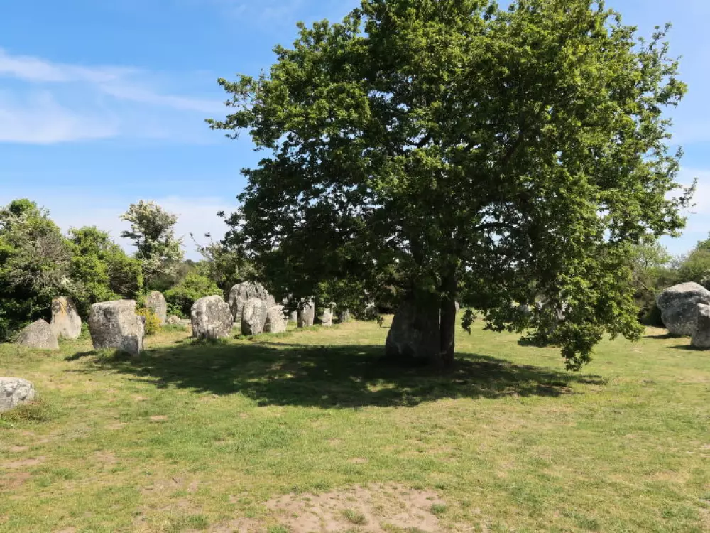 Maison de Vacances Erdeven