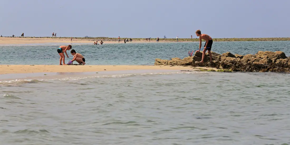 Camping Des Hautes Grées 3 étoiles★★★