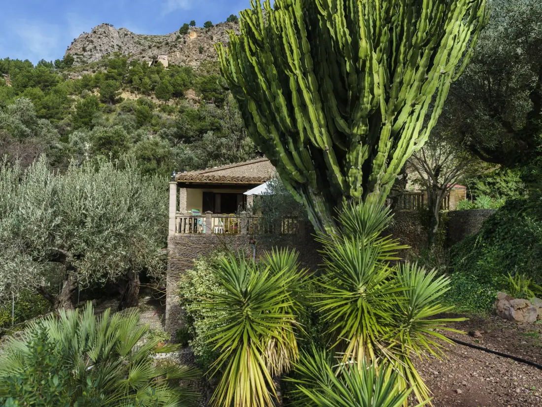Maison de Vacances Escorca 8