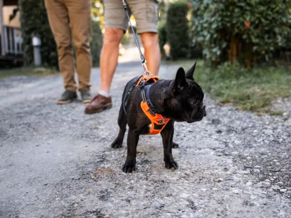 Camping Biper Gorri 4 étoiles★★★★