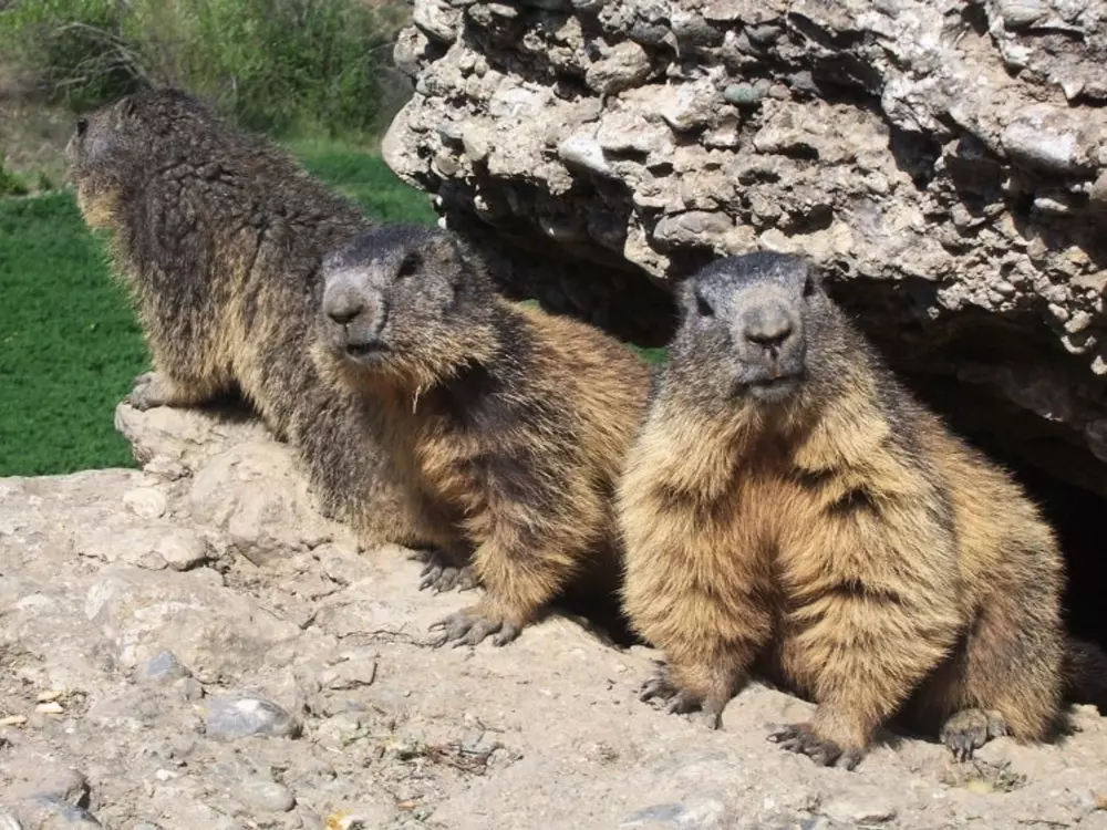 Location de Vacances Esquièze-Sère 58
