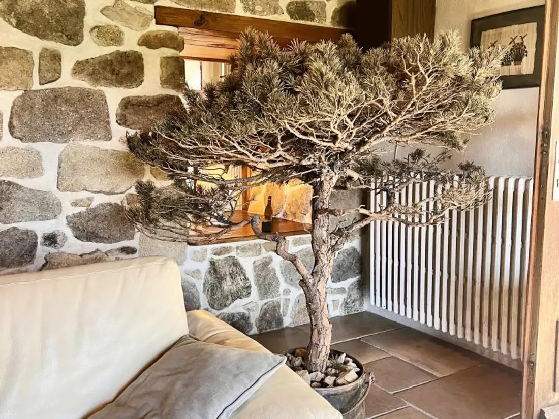 Maison de Vacances Essertines-en-Donzy