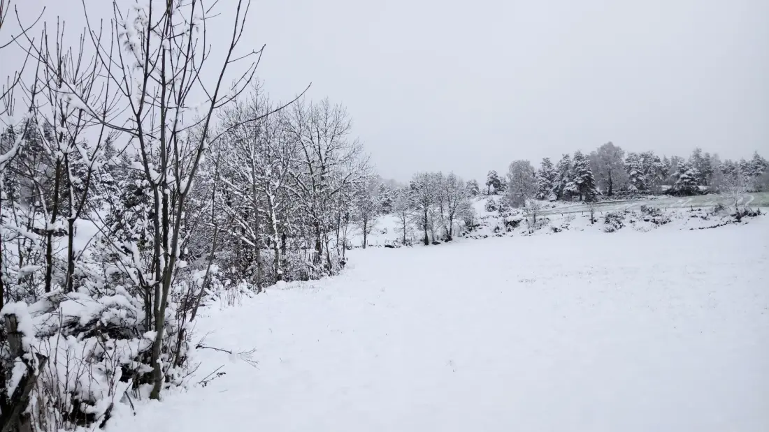 Gîte de France La grange d'elie 3 épis