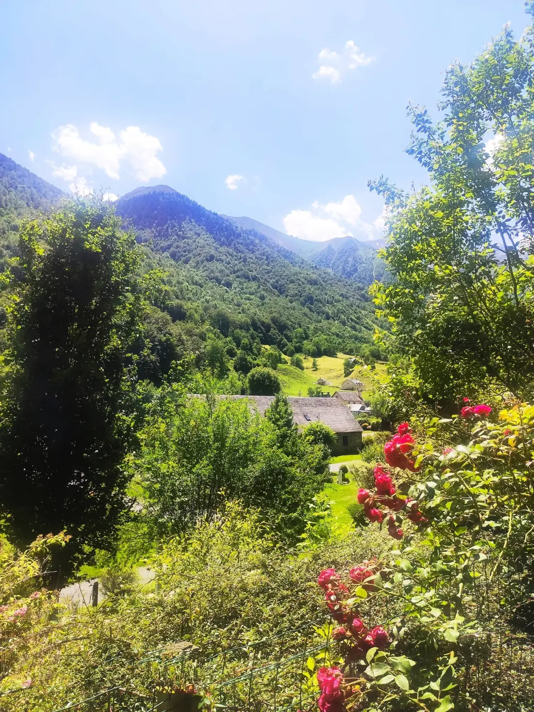 Flower Camping Pyrénées Natura 4 étoiles★★★★
