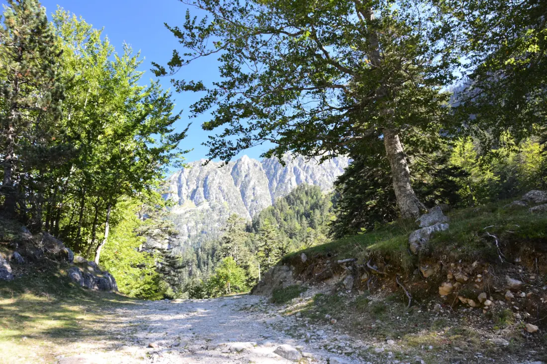 Flower Camping Pyrénées Natura 4 étoiles★★★★