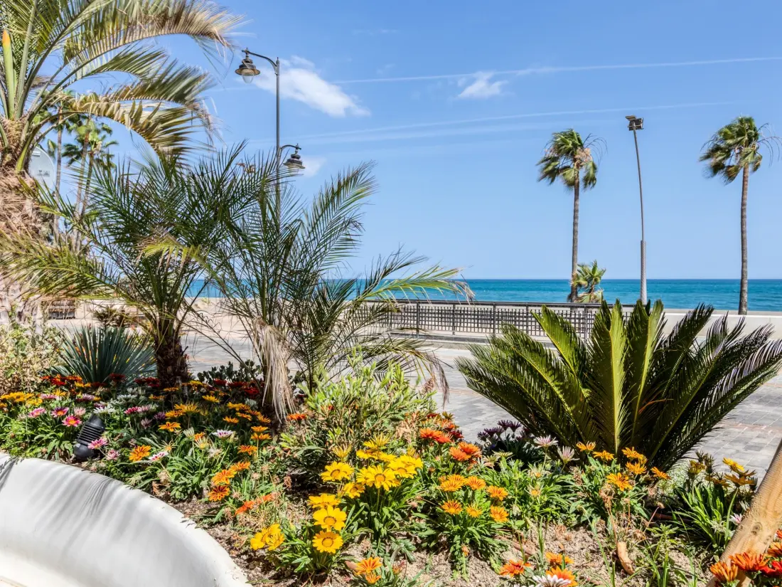 Location de Vacances Estepona 180