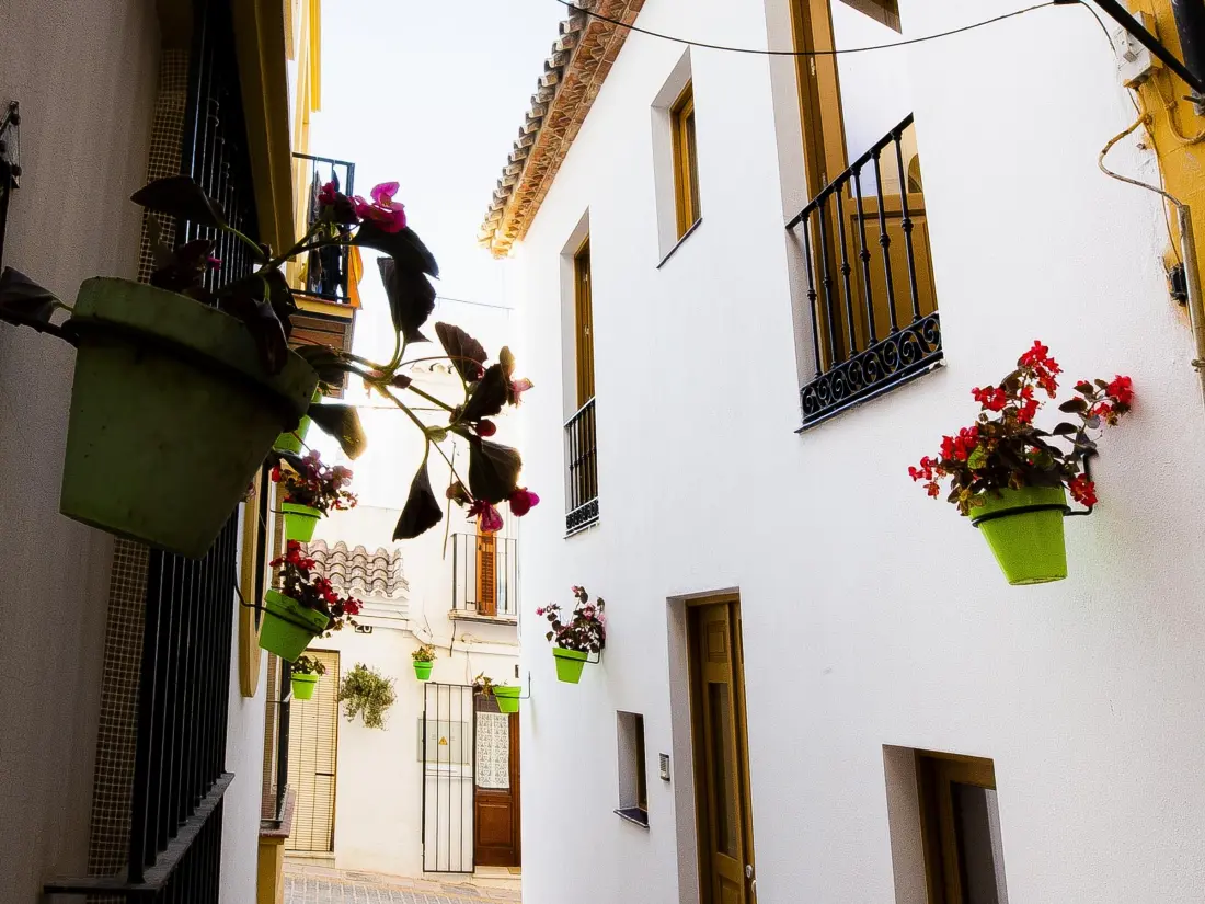 Location de Vacances Estepona 95