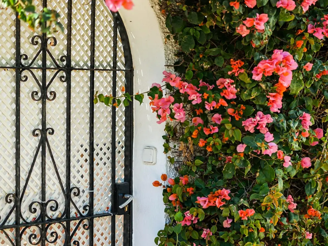 Maison de Vacances Estepona 200