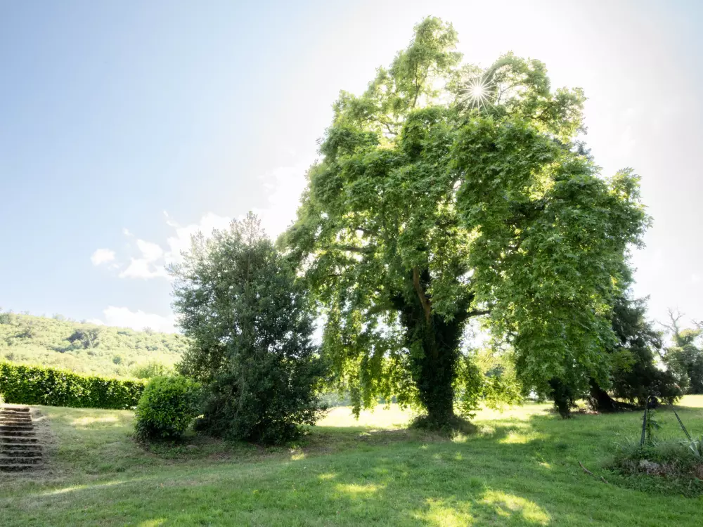 Maison de Vacances Etang sur Arroux
