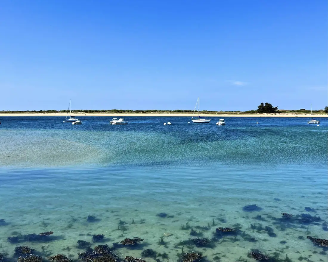 Résidence Les Terrasses Du Port