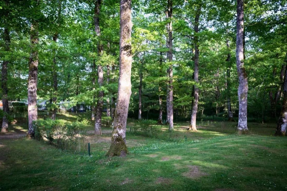 Camping Etxarri