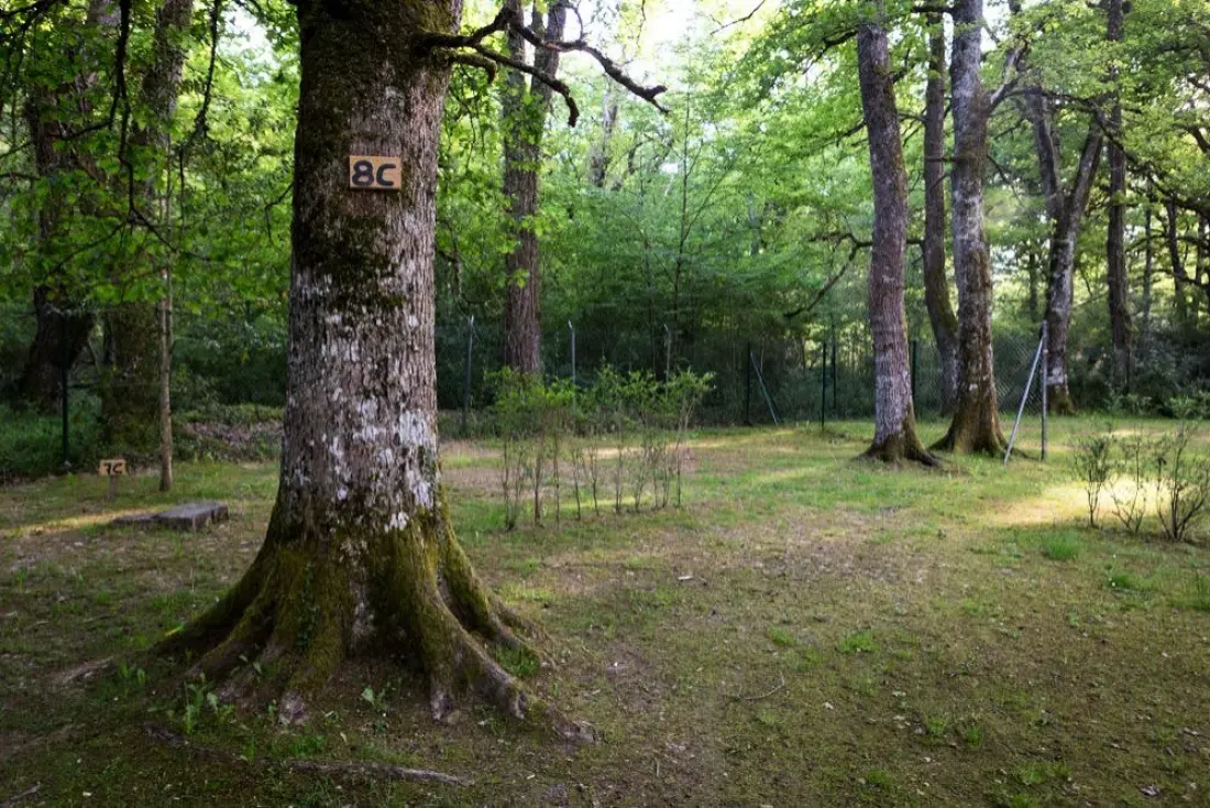 Camping Etxarri