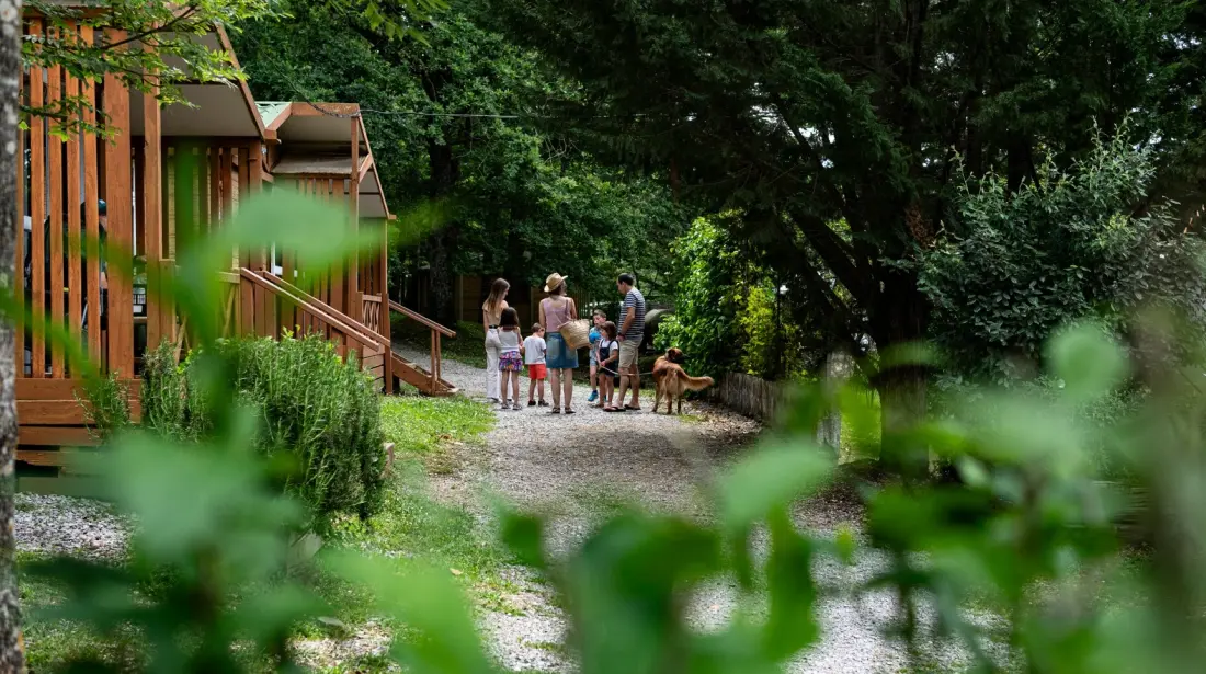 Camping Etxarri