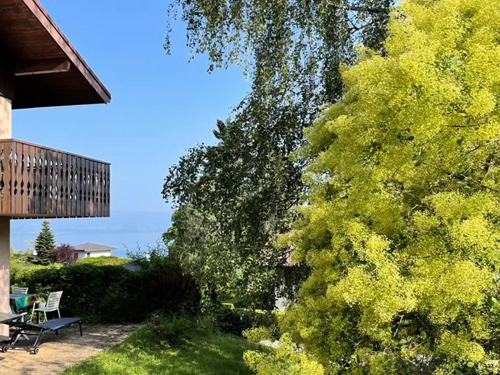 Location de Vacances Évian-les-Bains 3