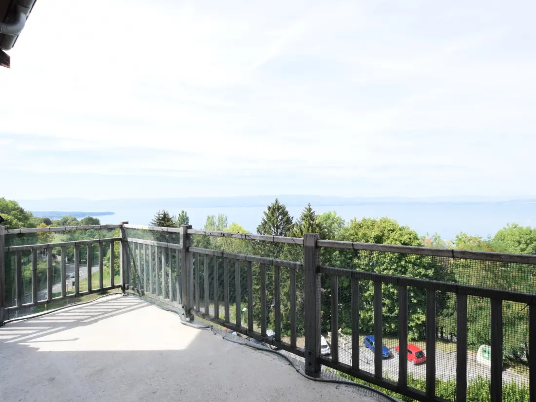 Location de Vacances Évian-les-Bains 40