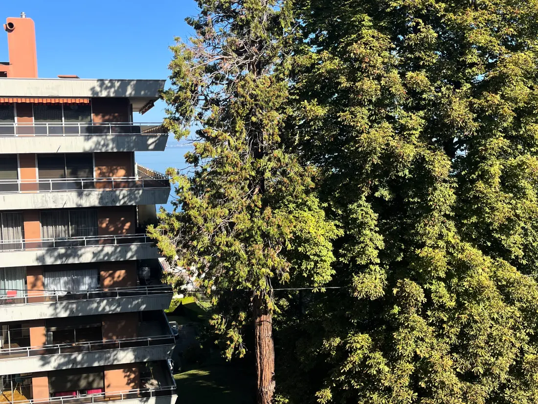Location de Vacances Évian-les-Bains 41