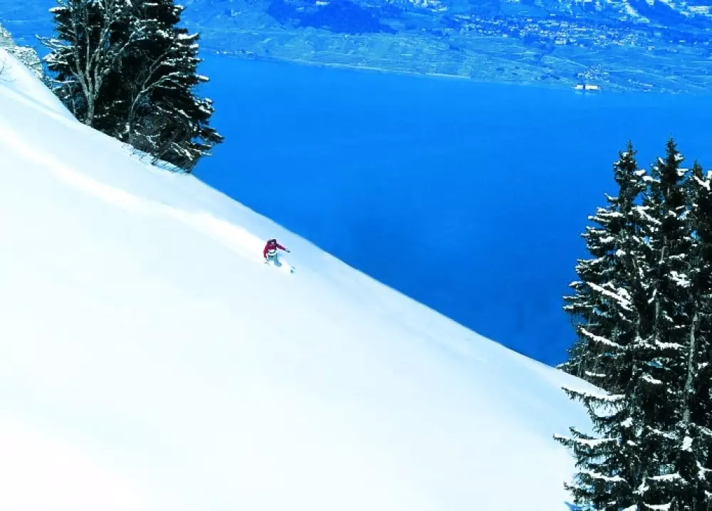 VVF Evian-les-Bains 3 étoiles★★★