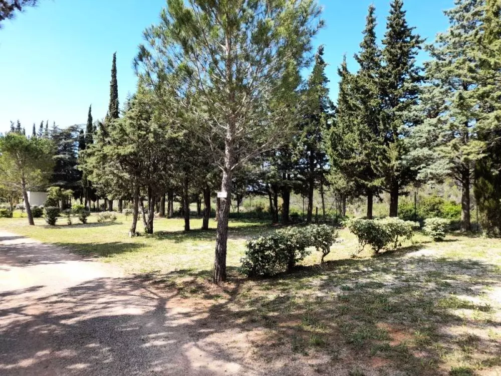 Camping Le Pinada 3 étoiles★★★