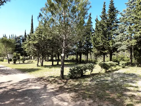 Camping Le Pinada 3 étoiles★★★