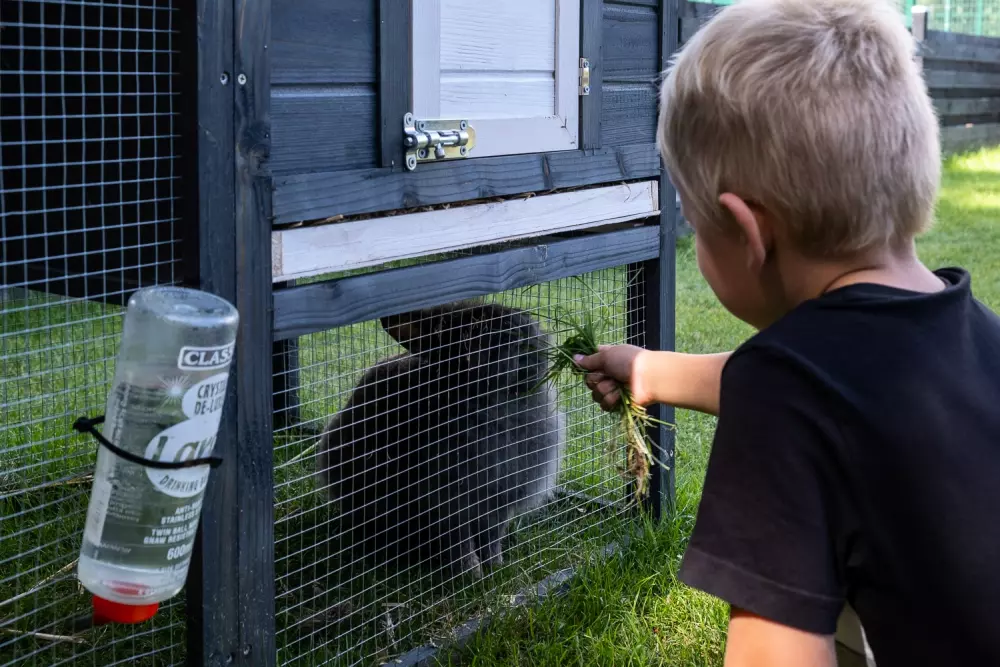 Feddet Strand Resort 5 étoiles★★★★★