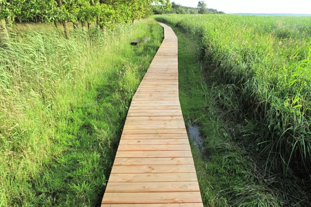 Feddet Strand Resort 5 étoiles★★★★★