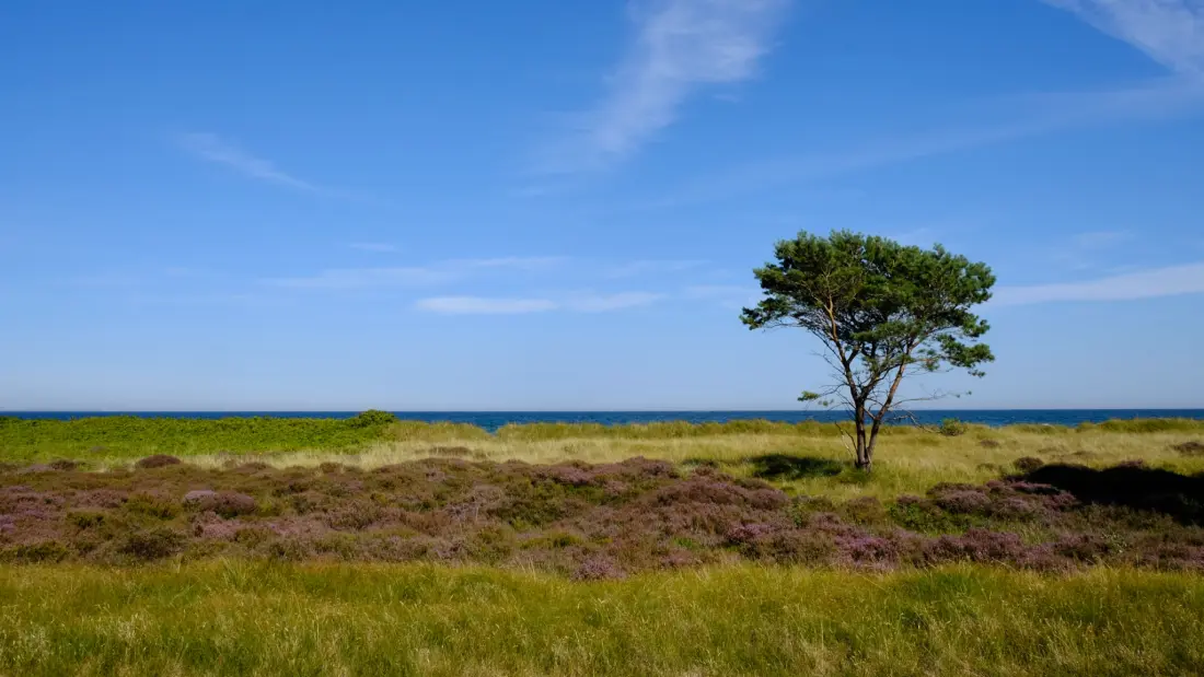 Feddet Strand Resort 5 étoiles★★★★★